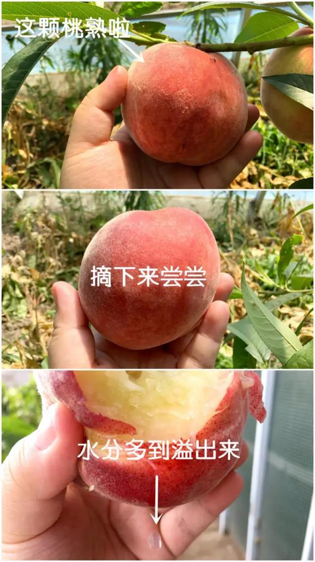 175435u01c87hfy8hu818e.jpg