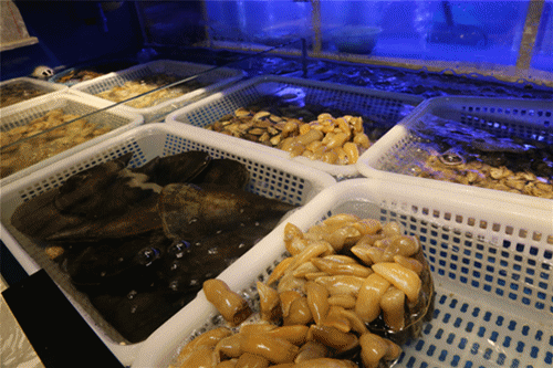 IMG_1761.gif