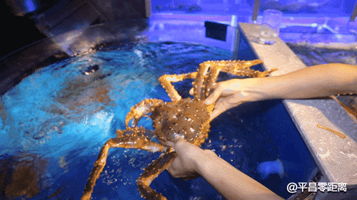 4654.gif