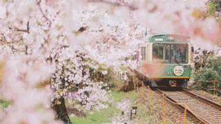 6440.gif