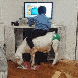 ΢ͼƬ_20190811170222.gif