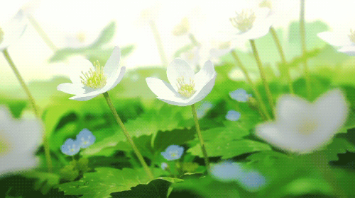 ΢ͼƬ_20190823091616.gif