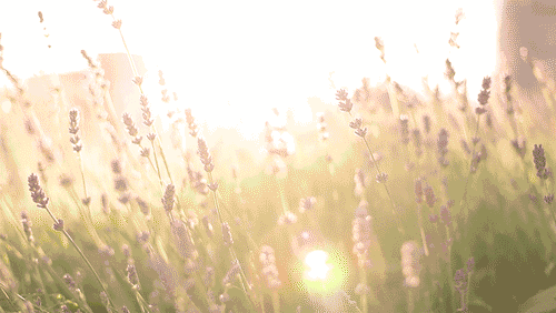 ΢ͼƬ_20191010104224.gif