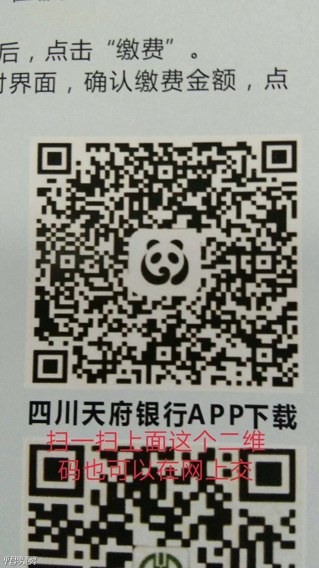 1574353327819206_97.jpg