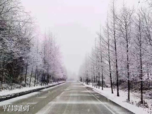 99160a0d739946d09301d55ed421a2fd.jpg