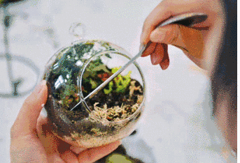 ΢ͼƬ_20191212123725.gif