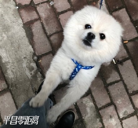 a24d3a1fly1g9zgxhuafxj20u00u0tfz.jpg