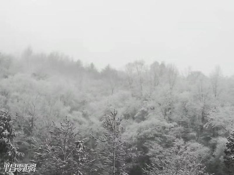 ΢ͼƬ_20191217153153.jpg