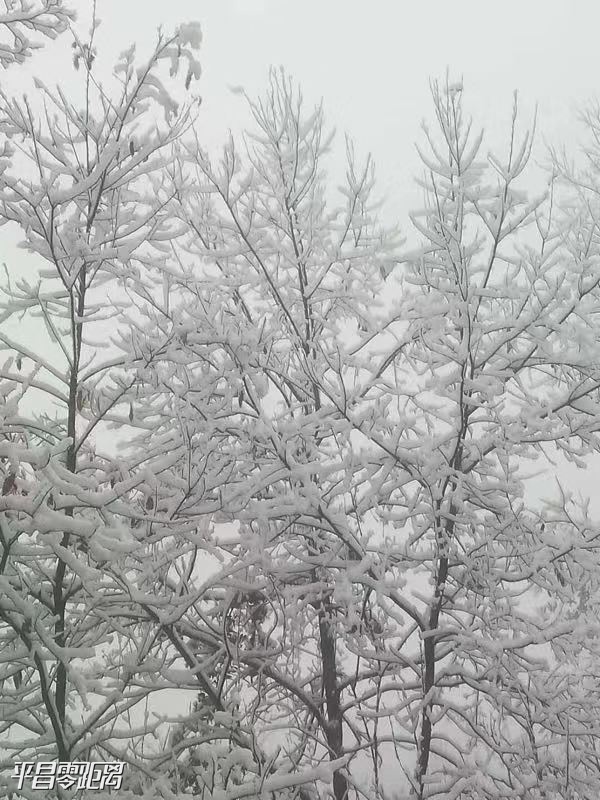 ΢ͼƬ_20191218153750.jpg
