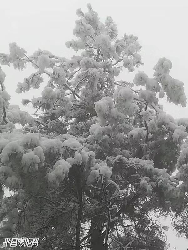 ΢ͼƬ_20191218153805.jpg