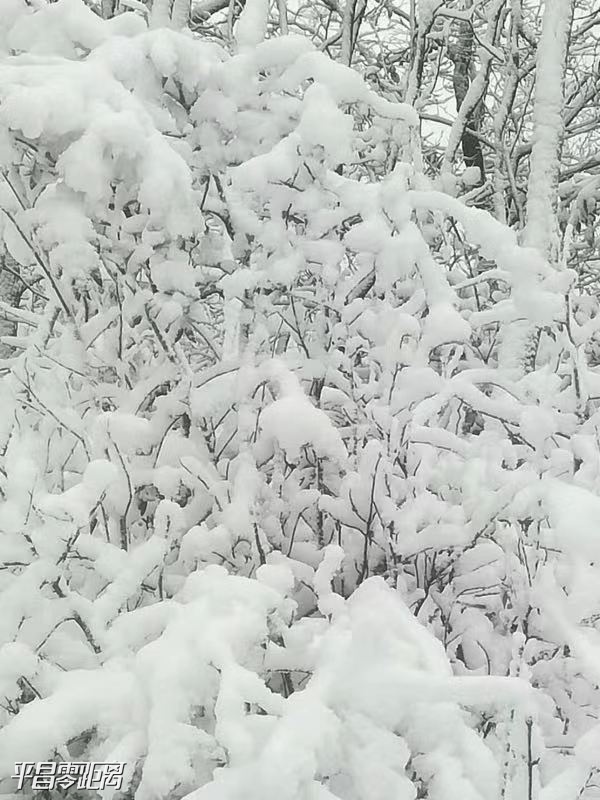 ΢ͼƬ_20191218153759.jpg