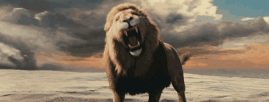 ΢ͼƬ_20191219091058.gif