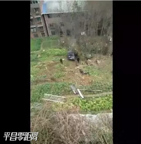 453453.webp.jpg