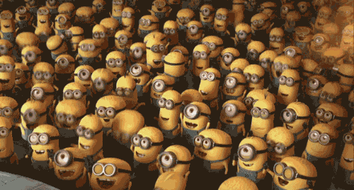 32555555555.gif