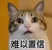 jghjghjgj.webp.jpg