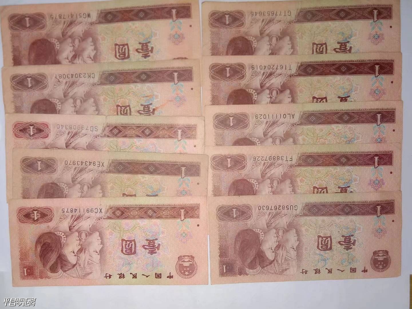 157838460518835_556.jpg