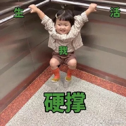 hfghfh.webp.jpg