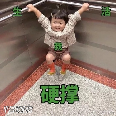 hfghfh.webp.jpg