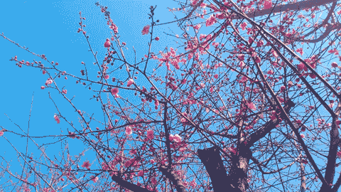 20200228_113423.gif