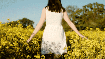 timg.gif
