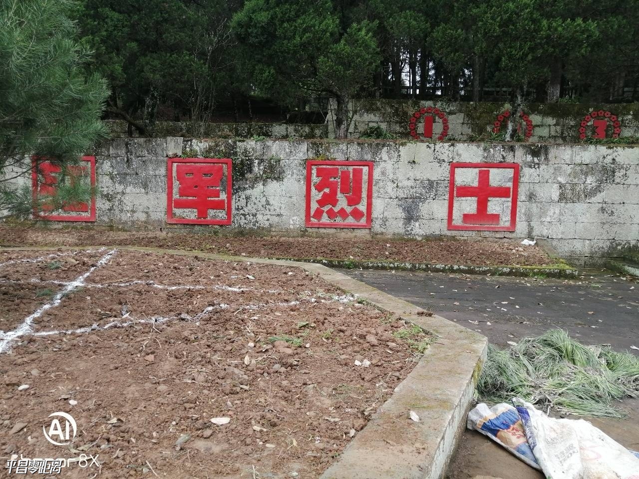 1585954435631605_101.jpg