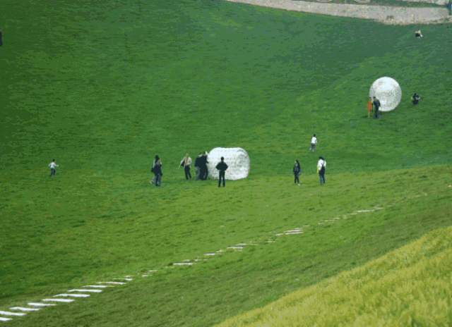 21.gif