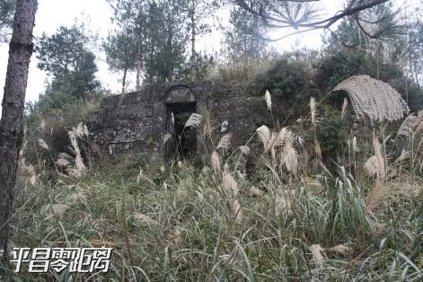 15115.webp.jpg