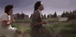 01.gif