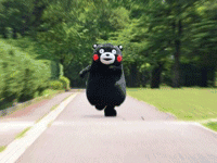 4.gif