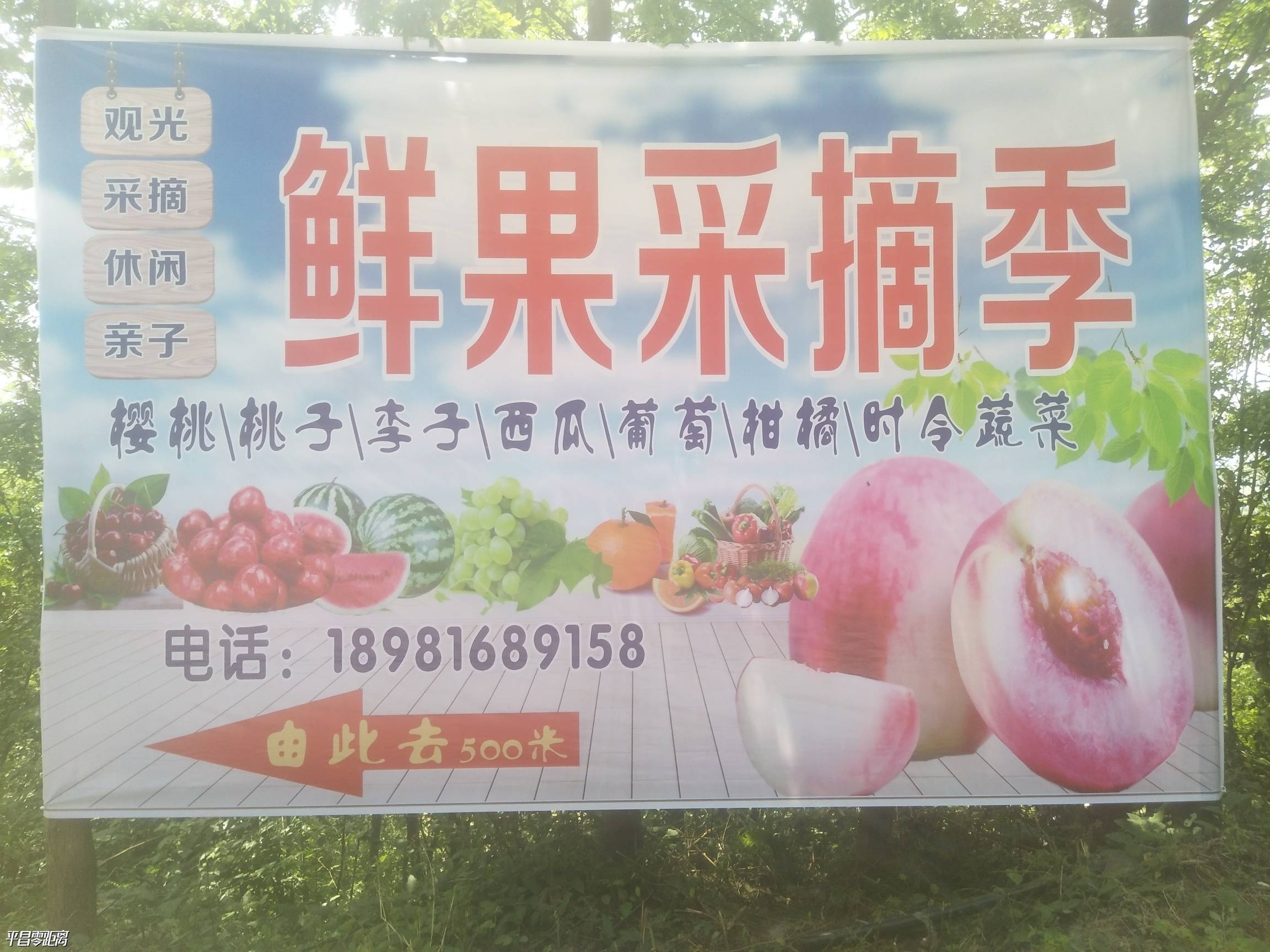 1592922495753405_237.jpg