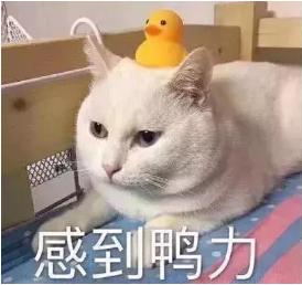 00.png