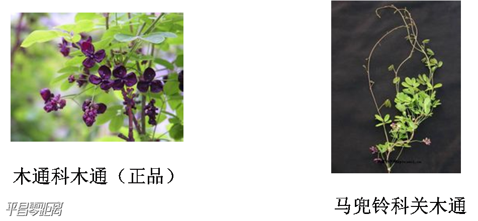 ΢ͼƬ_20201221144936.png