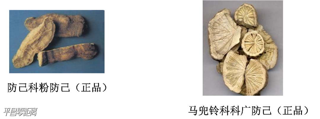 ΢ͼƬ_20201221144939.png