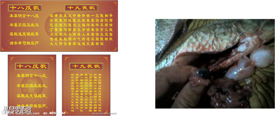 ΢ͼƬ_20201221145036.png