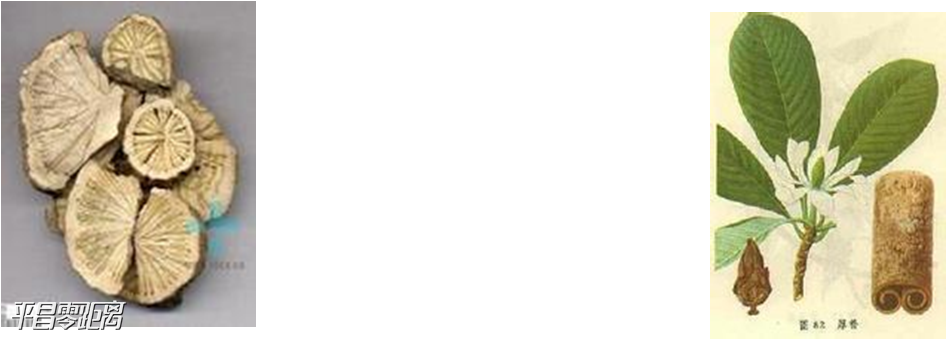 ΢ͼƬ_20201221150222.png