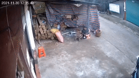 1.gif