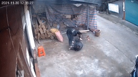 3.gif