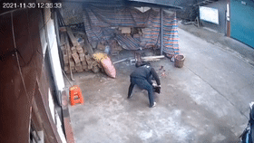 4.gif